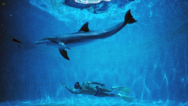 кадр из фильма Голубая бездна