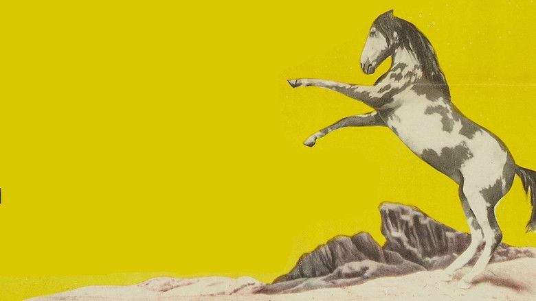 кадр из фильма Thunderhoof