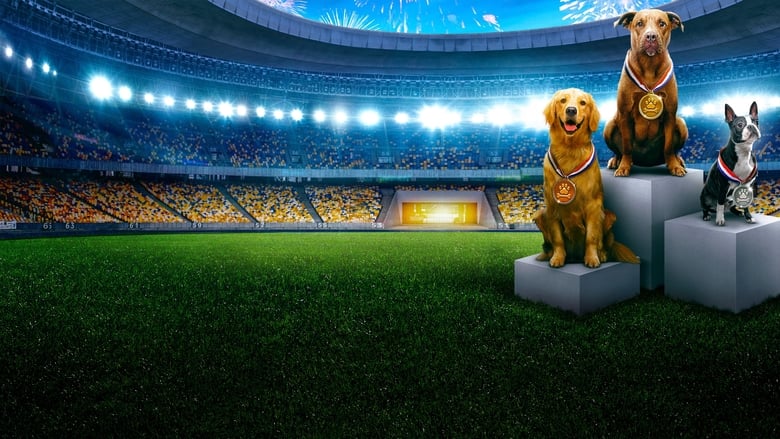 кадр из фильма Puppy Bowl Presents: The Summer Games