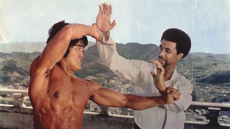 кадр из фильма 唐山虎威殲殺手