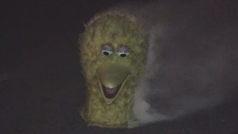 кадр из фильма How to Live with Regret