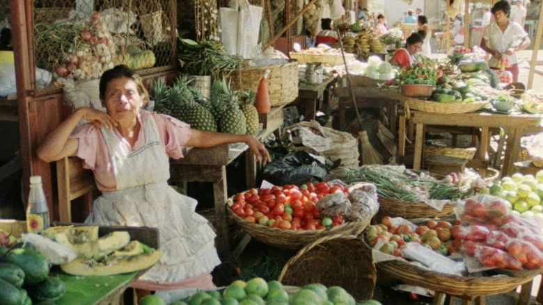 кадр из фильма Unterwegs in Nikaragua - Eine filmische Reisebeschreibung für Kinder