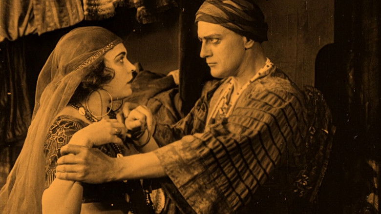 кадр из фильма Жемчужина гарема