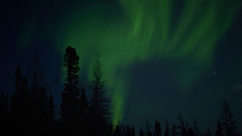 кадр из фильма Matimekush