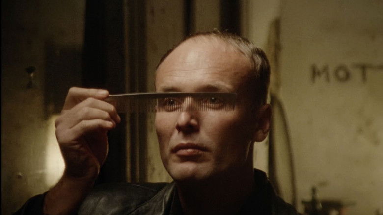 кадр из фильма Universe 25