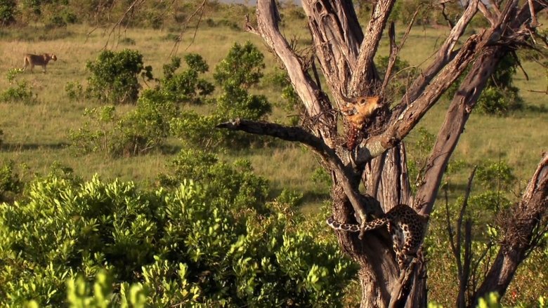 кадр из фильма Власть львов