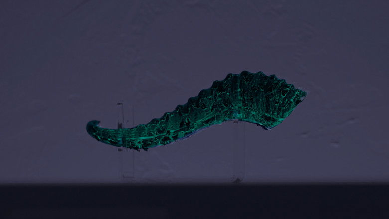 кадр из фильма Whispers