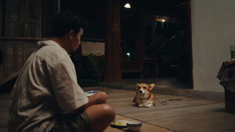 кадр из фильма บ๊อก บ๊อก โบ้