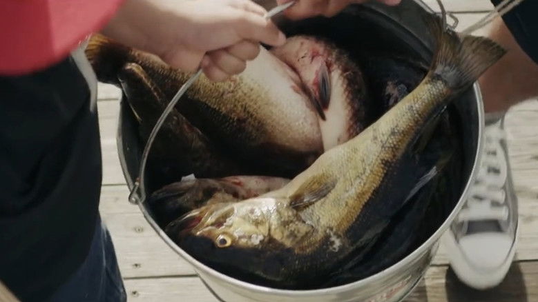 кадр из фильма We Must Not Forget