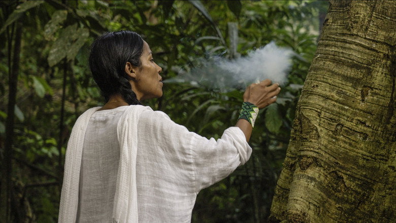 кадр из фильма Curandera