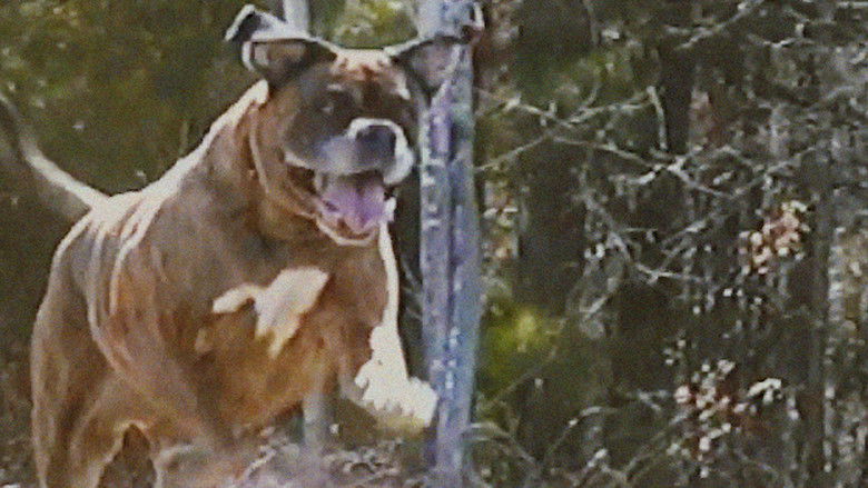 кадр из фильма Bonkey: The Mutated