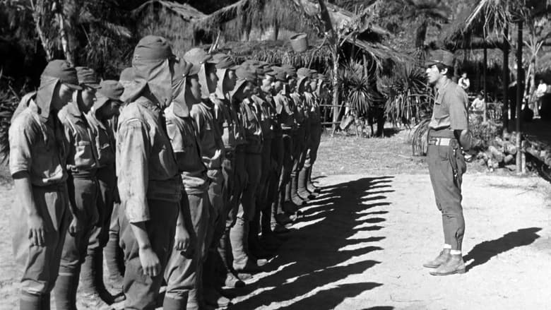 кадр из фильма Бирманская арфа