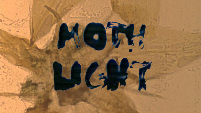 кадр из фильма Mothlight