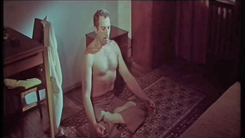 кадр из фильма Дачный домик для одной семьи