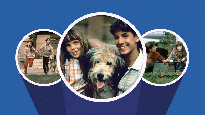 кадр из фильма Casebusters