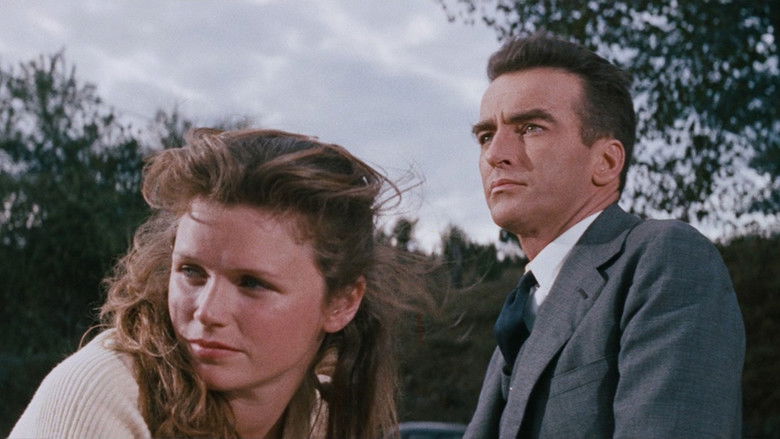 кадр из фильма Дикая река