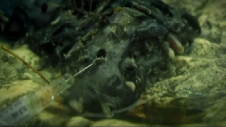 кадр из фильма Каннибал