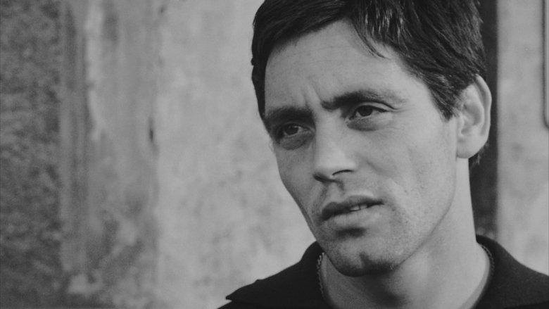 кадр из фильма Аккатоне