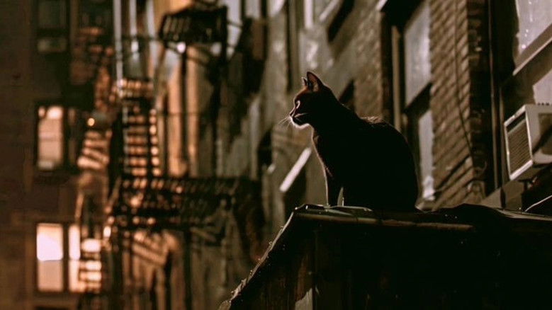 кадр из фильма 엠호텔