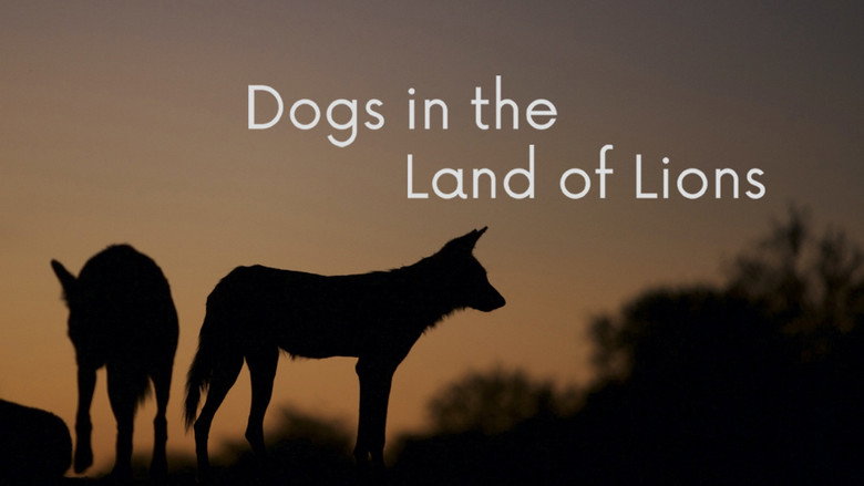 кадр из фильма Dogs in the Land of Lions