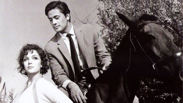 кадр из фильма İnatçı Gelin