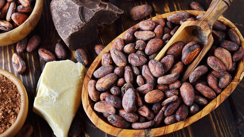 кадр из фильма Die Schweiz und die Schokolade