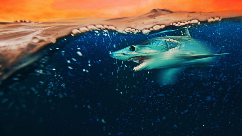 кадр из фильма Mako Mania: Battle for California