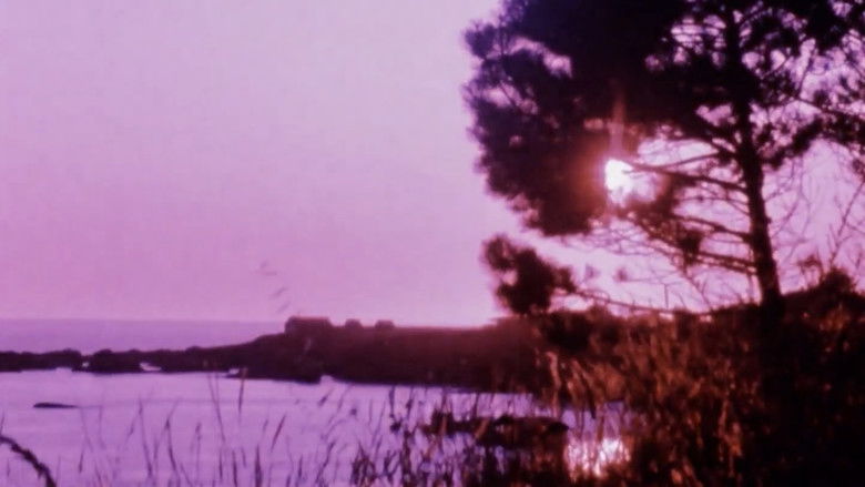 кадр из фильма Matter of Clarity