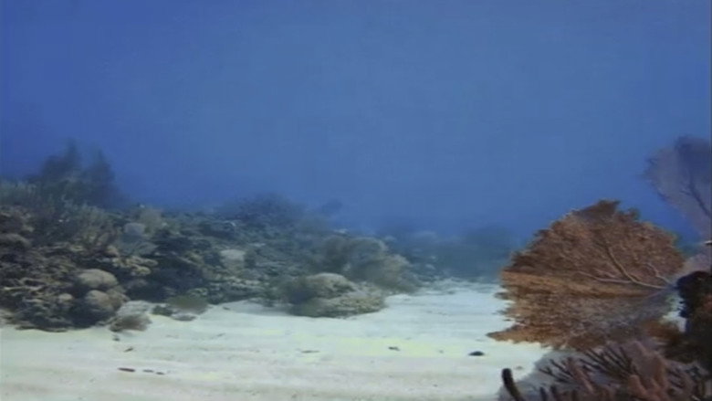 кадр из фильма Tank Fantasy