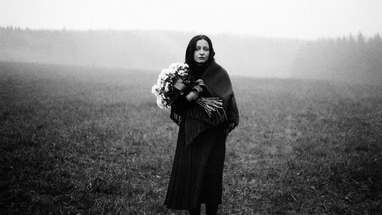 кадр из фильма Odcházení