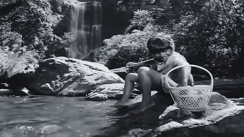 кадр из фильма ಟ್ಟದ ಹೂವು