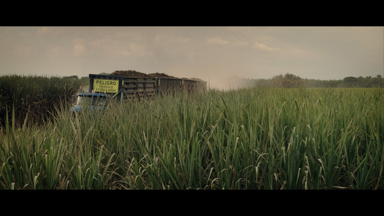 кадр из фильма Soñé su nombre