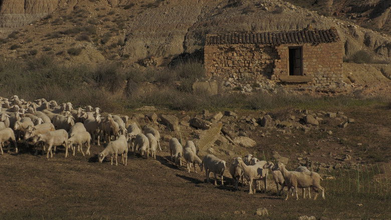 кадр из фильма Cierzo