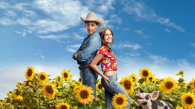 кадр из фильма История Золушки: К звездам