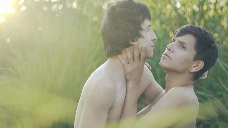 кадр из фильма Братья