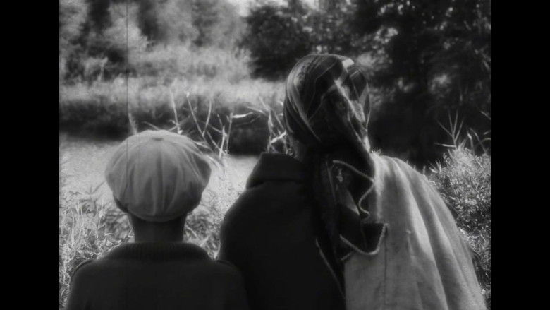 кадр из фильма КӨК ЖИЕК