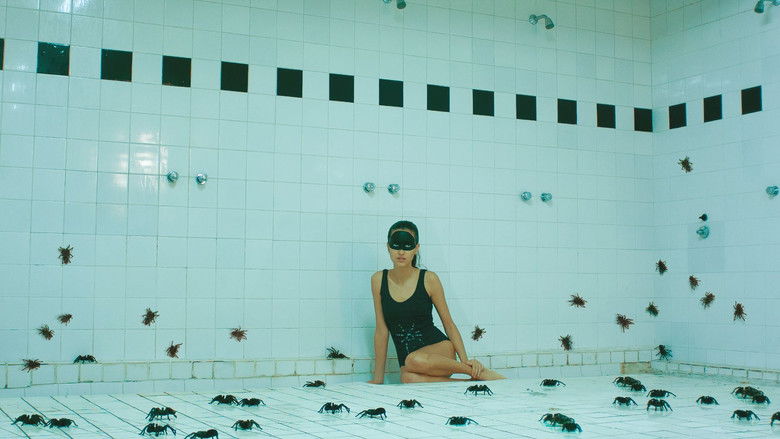 кадр из фильма Las Arácnidas