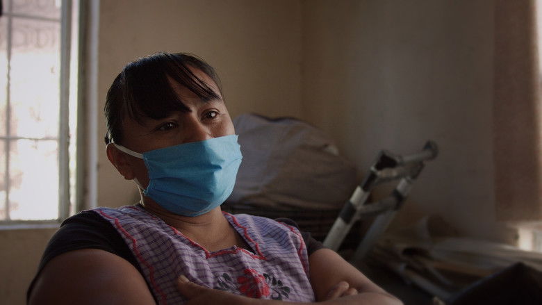 кадр из фильма Libélula