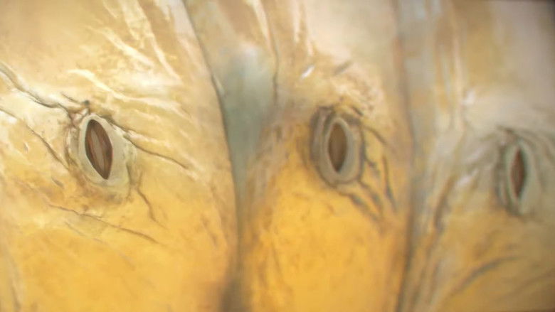 кадр из фильма Mycelium