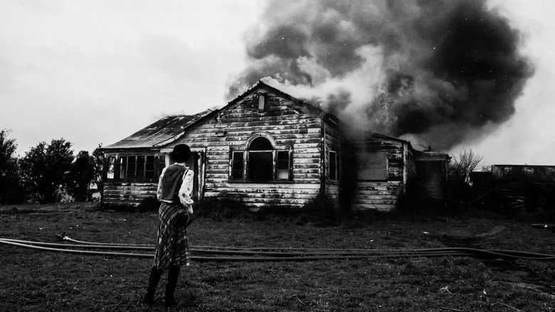 кадр из фильма Susan Parker