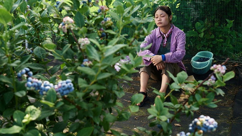 кадр из фильма 재꽃