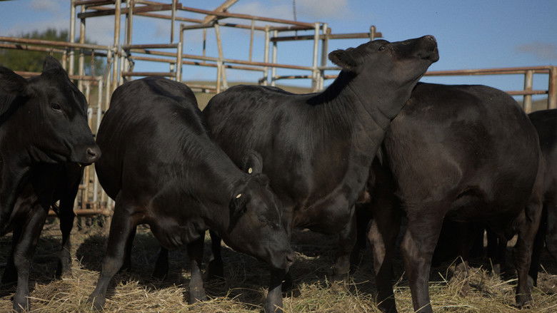 кадр из фильма In Vitro