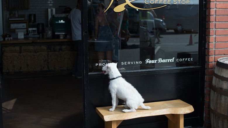 кадр из фильма Его собачье дело