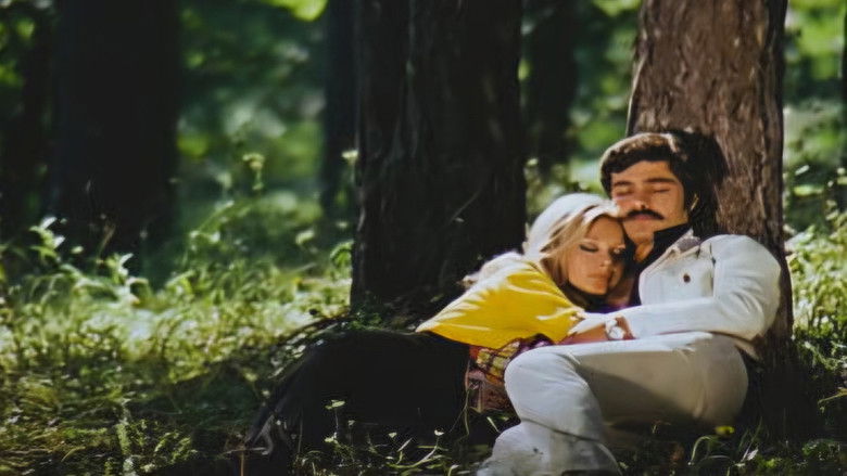 кадр из фильма Almanyalı Yarim