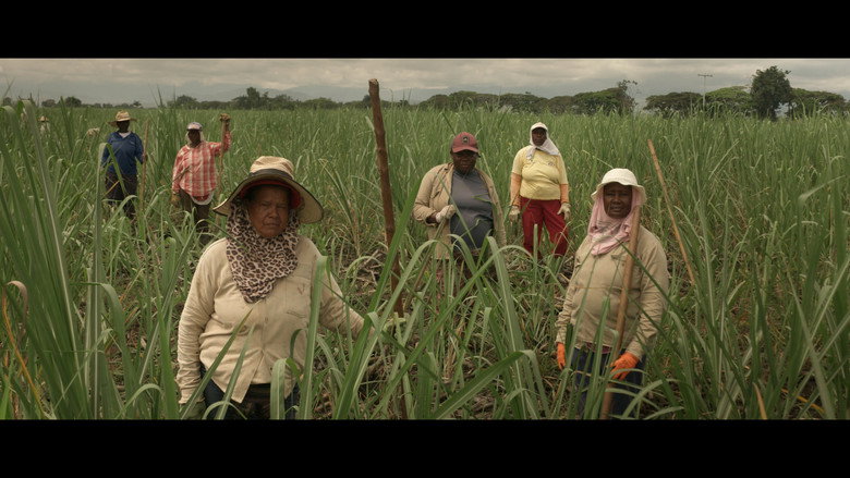 кадр из фильма Soñé su nombre