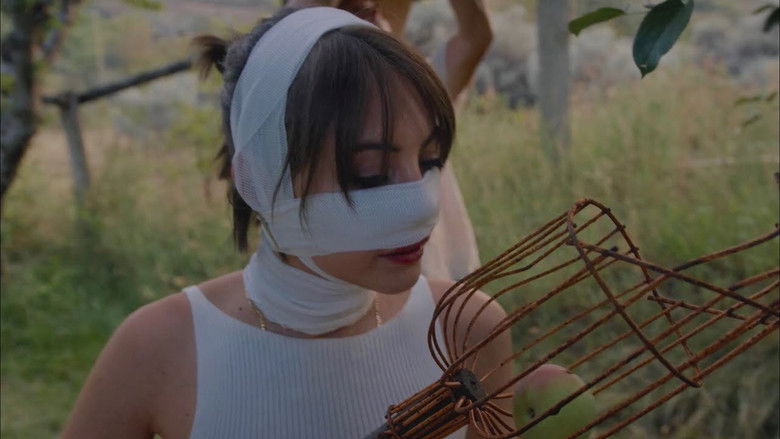 кадр из фильма Pure Immersion