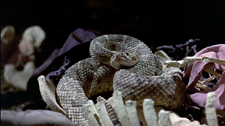 кадр из фильма Настоящее мужество