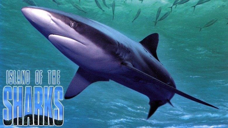 кадр из фильма Island of the Sharks