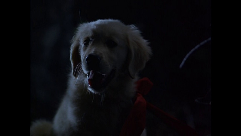 кадр из фильма Napoleon