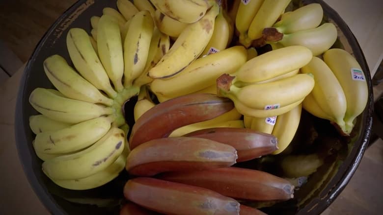 кадр из фильма Gardons la banane !